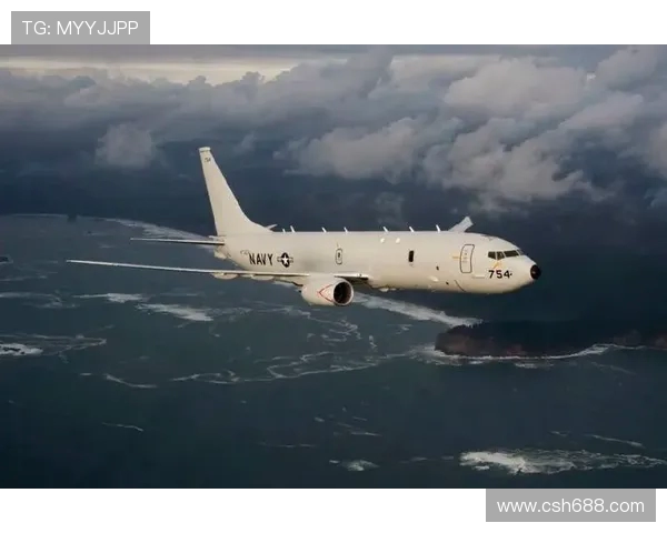 反潜巡逻机在海面上空的长时间搜索