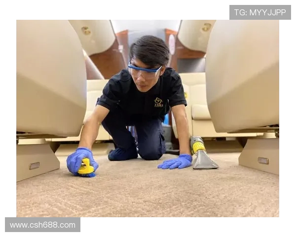 飞机客舱内饰的抗菌材料应用研究